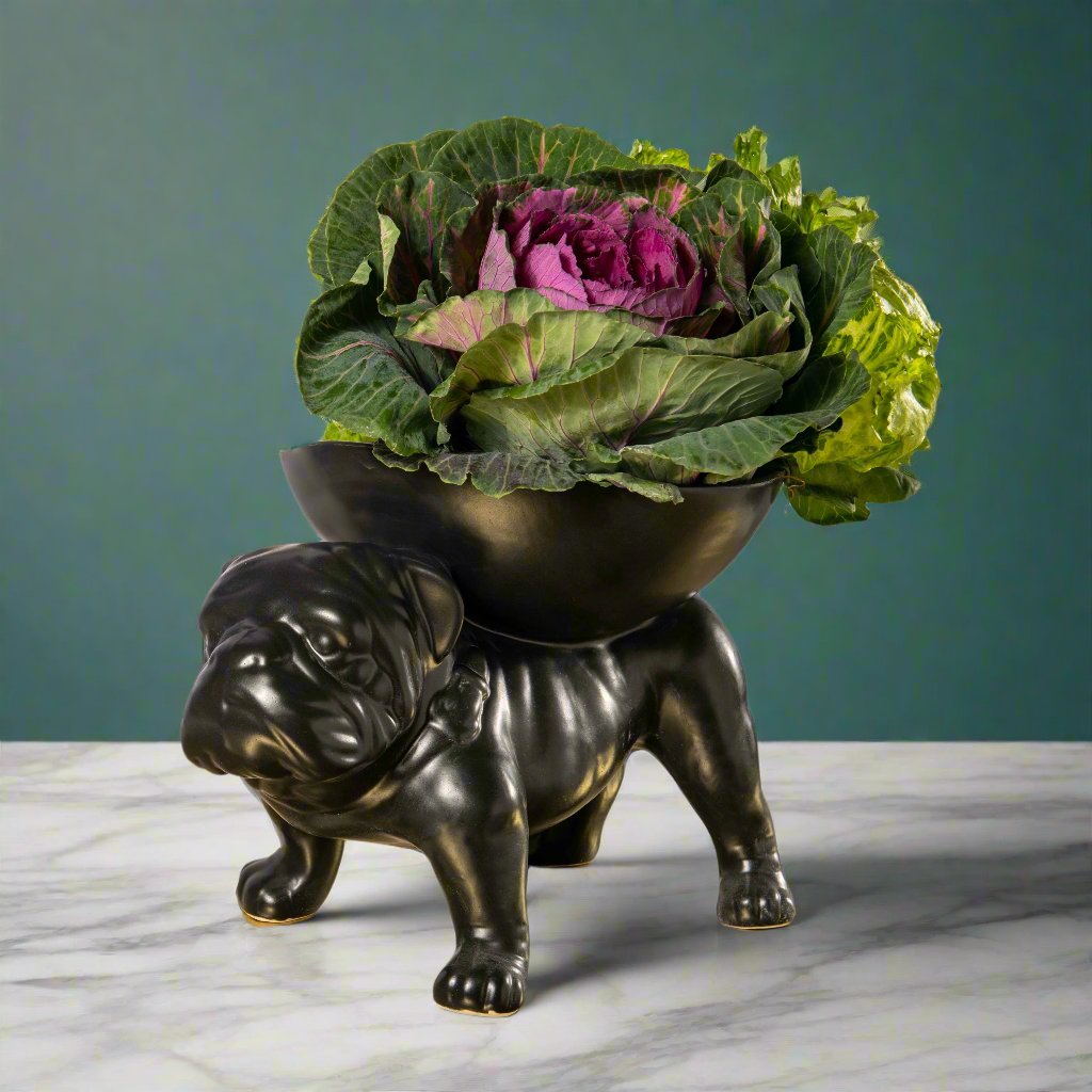 French bulldog outlet bowl